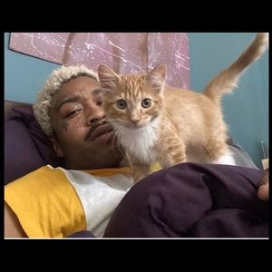 Meet your Posher, Jackson